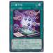[trc-31238] š ͷOCG ǥ奨󥹥 ̹ DAMA DAMA-JP064