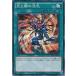 [trc-32141] š ͷOCG ǥ奨󥹥 ȰǤ DP17 DP17-JP013