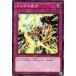 [trc-32378] š ͷOCG ǥ奨󥹥 ᥬκۤ WPP3 WPP3-JP048