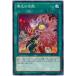 [trc-32396] š ͷOCG ǥ奨󥹥 μ DBIC DBIC-JP034