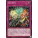 [trc-32435] š ͷOCG ǥ奨󥹥  INFO INFO-JP073