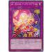 [trc-32520] š ͷOCG ǥ奨󥹥 Jo-P.U.N.K.ʥꡦץ饤 DBGC DBGC-JP012