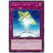 [trc-33099] š ͷOCG ǥ奨󥹥 ޥԡ DP23 DP23-JP044