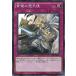 [trc-33361] š ͷOCG ǥ奨󥹥 ŷ SPDS SPDS-JP036
