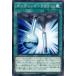 [trc-35389] ����š� ͷ����OCG �ǥ奨���󥹥����� �ܥ�ǥ���-D2O DP18 DP18-JP038