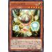 [trc-46742] ����š� ͷ����OCG �ǥ奨���󥹥����� ���ӥ����� INFO INFO-JP025