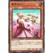 [trc-61045] ����š� ͷ����OCG �ǥ奨���󥹥����� ������ SD45 SD45-JP015