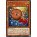 [trc-67836] ����š� ͷ����OCG �ǥ奨���󥹥����� �������ܥ� ALIN ALIN-JP008