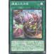 [trc-69266] ����š� ͷ����OCG �ǥ奨���󥹥����� ����ζ����� BPRO BPRO-JP062