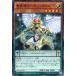 [trc-69329] ����š� ͷ����OCG �ǥ奨���󥹥����� ��������-���ե���ӥ塼�� CROS CROS-JP021