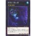 [trc-77758] ����š� ͷ����OCG �ǥ奨���󥹥����� ��ʥ������� DBCB DBCB-JP012