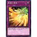 [trc-80670] ����š� ͷ����OCG �ǥ奨���󥹥����� ˱������� DBHS DBHS-JP045