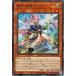 [trc-89968] ����š� ͷ����OCG �ǥ奨���󥹥����� ���ݳ��� ��ƥ� DUAD DUAD-JP011