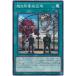 [trc-100801] [ б/у ] Yugioh OCG Duel Monstar z супер природа .. район район BODE BODE-JP067