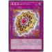 [trc-108987] ����š� ͷ����OCG �ǥ奨���󥹥����� ��������������� BACH BACH-JP074