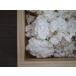 ���薡�X�Z�b�g 2�{�� 4�������y �H��1.1kg �u������MJ2 ���y��2���t���i�o���オ��� ��10kg�j �֘A�摜2