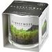 . новый керамика g последний Moss S зеленый 5.8cm