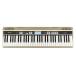 Roland ���[�����h JUSTY HK-100 �n�[���j�[�����Y�����K�p�L�[�{�[�h