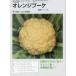 【カリフラワー】オレンジブーケ〔タキイ交配〕/小袋