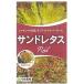 [ lettuce ] Sand lettuce красный bata Via lettuce ( красный )(....)