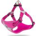 J&amp;C Paradise удобный собака Harness Япония стандартный магазин собака для шлейка простой оборудован заметный 3M отражающий легкий плата . маленький модный популярный крепкий вентиляция 