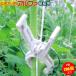 �����������A���t�@�@�וR�p�@KA-P200�@200��