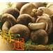 ..naba ферма [ специальный отбор ]..(....)1kg