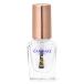 キャンメイク カラフルネイルズNTC トップコート 8ml