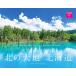 ..!... 4 сезон север. большой земля Hokkaido календарь 2025( месяц .../ орнамент ) ( кошка *pa желтохвост sing) ( календарь серии )