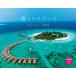 ... resort календарь 2025( месяц .../ орнамент ) ( кошка *pa желтохвост sing) ( календарь серии )