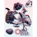 DIR EN GREY / TOUR 13 GHOUL первый раз б/у Японская музыка DVD