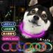  necklace dog shines light Lead size color walk small size medium sized large stylish accessory . dog night . dog charge USB