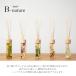 �y5%OFF�N�[�|���z ���[�h�f�B�t���[�U�[ �I�ׂ鍁��10��� 530ml 430ml 120ml B-nature �A���}�f�B�t���[�U�[ �n�[�o���E�� ��e�� ������ �{�^�j�J�� �֘A�摜1