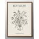  постер цветочный botanikaru цветок картина интерьер A3 размер искусство новое здание праздник . подарок узор изменение Северная Европа 15482