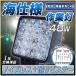 �D���p led���C�g �m�C�Y���X 48W 2�� ��Ɠ� �W���p������ 12v 24v SUS316�Z�b�g �֘A�摜1