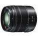 �y�V�i/���i�zPanasonic LUMIX G VARIO 14-140mm/F3.5-5.6 II ASPH./POWER O.I.S. H-F