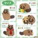 NARUSA �h�J�V�[�� ���ʂ� 5��� ��4cm �A�C�����ڒ� ���b�y�� �A�b�v���P �l�N�^�C �� �^���|�| ���� �t���� ���ǂ� ���� ���킢�� ���{�� �֘A�摜5
