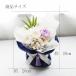 �\�[�v�t�����[ ������ �� �u����ԑ� ���~ ���ފ� ���� �u�[�P ���� ���d �y�b�g ������� �z���C�g �p�[�v�� �֘A�摜1