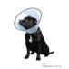 FANTASY WORLD собака * кошка для удобно домашнее животное цвет VET Collar( спальное место цвет ) XL размер прозрачный *VC-5