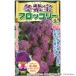  Kobayashi вид рассада брокколи семена зима фиолетовый .(.....) 7221 маленький пакет (45 шарик )