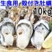  seafood .. raw meal for ... attaching ..10kg( approximately 110 bead ) pine island .. shop .. direct delivery from producing area 