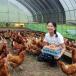  egg chicken egg [.... egg ]30 piece flat .. have . egg direct delivery from producing area 
