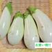  vegetable ..[ translation have ] eggplant * white eggplant meal . comparing set 1kg direct delivery from producing area 