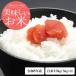  новый рис рис 10kg (5kg×2) белый рис . мир 8 год Chiba префектура производство ...... рис . рис бесплатная доставка * регион в зависимости . делать доставка отдельно . появление сделаю.