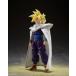 [ немедленная уплата ]S.H.Figuarts super носорог ya человек Son Gohan -. пустой . превышен воитель -[ Dragon Ball Z]( Bandai )