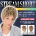  волосы сеть есть Lapin дверь ru Homme Stream Short натуральный Blond / мужской парик мужской парик костюмированная игра мода Event (3472)