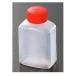 �g��������/�����h ����т� �p�� (�e�ʖ�33ml �c37 ��25 ����59) 2000��