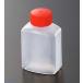 ����т� �p�� (�e�ʖ�33ml �c37 ��25 ����59) 500��