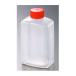 ����т� �p���� (�e�ʖ�82ml �c43 ��30 ����85) 125��