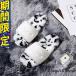���[�g�� �T���_�� �X���b�p �t�@�[�T���_�� ���[���V���[�Y ���[�g���T���_�� �V�R �������� ���R���R �t���b�g ���f�B�[�X �H�~ �~ �ʔ� �l�C �{�A